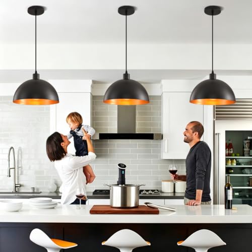 Plug in Pendant Light