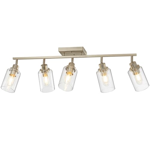 5 Light Brushed Nickel Track Lighting Kit with Clear Glass (Brushed Nickel / 5-Light)