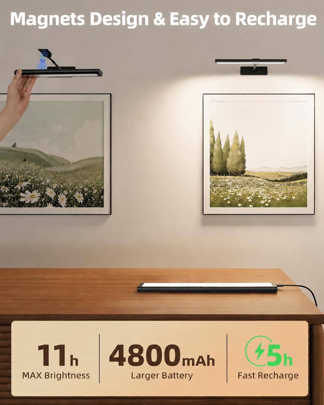 Picture Light for Wall (Black / 13inch)