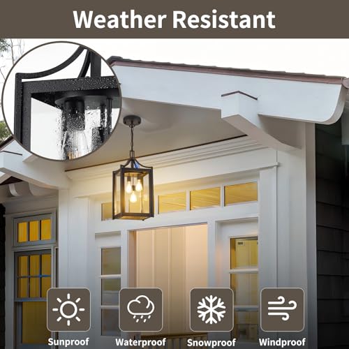 Outdoor Pendant Lights for Porch (Black / Large-Clear Glass)