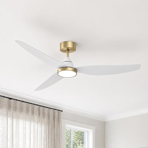 Ceiling Fan with Light