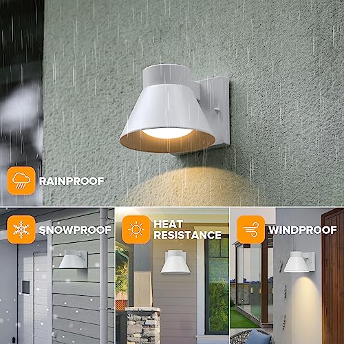 2 Pack LED Outdoor White Front Porch Lights (C-White)
