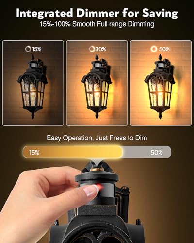 2 Pack Motion Sensor Outdoor Lights (Black(Gold Trim) / 2-pack)