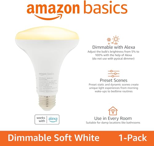 BR30 Smart LED Light Bulb