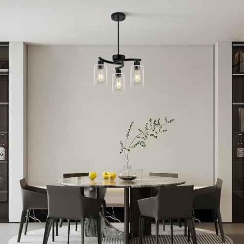 Chandelier Light Fixture