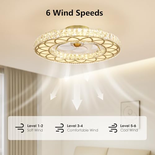 Crystal Ceiling Fans with Lights (Gold - 24 Inch)