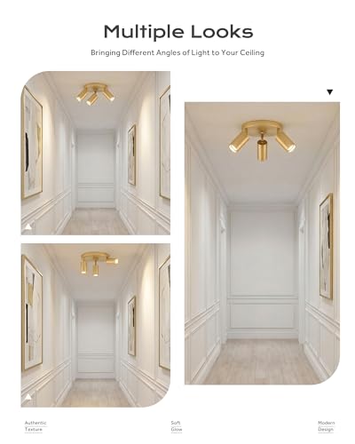 3 Light Track Lighting Fixtures Ceiling (Kaleidoscope, Brushed Gold / 16.1", 3-light)