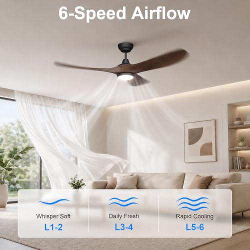 60 Inch Ceiling Fan with Lights (Black & Walnut / 60 inch)