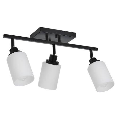 3 Lights Track Lighting Kit (Black / 3-Lights)