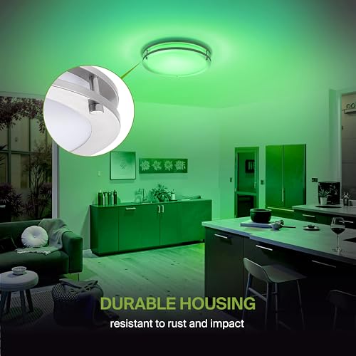 LED 16" Round Flush Mount Lighting (Brushed Nickel)