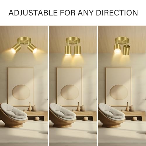 LED 2 Light Track Lighting Kit (2 Light-Gold)