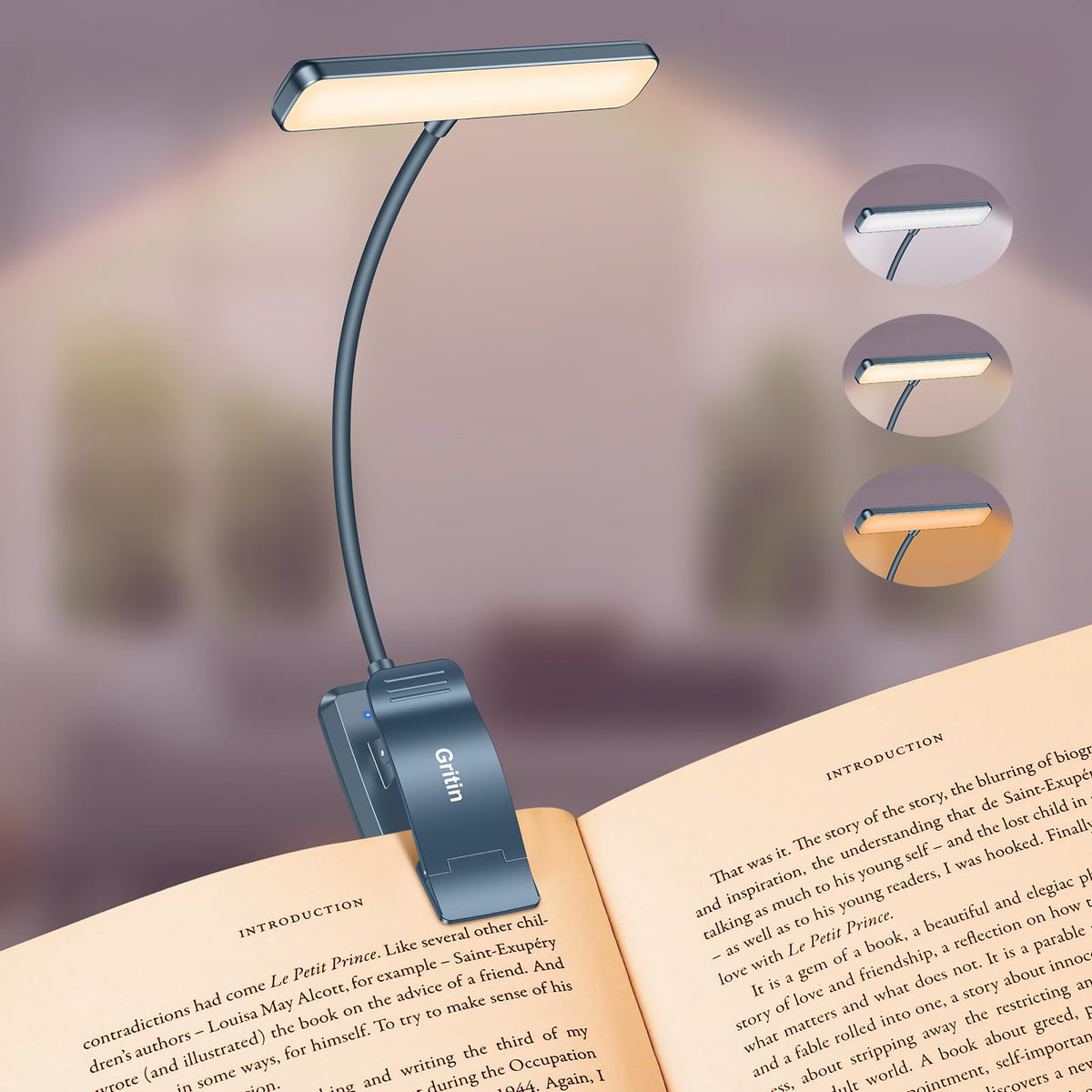 19 LED Rechargeable Book Light for Reading in Bed (Pacific Blue)