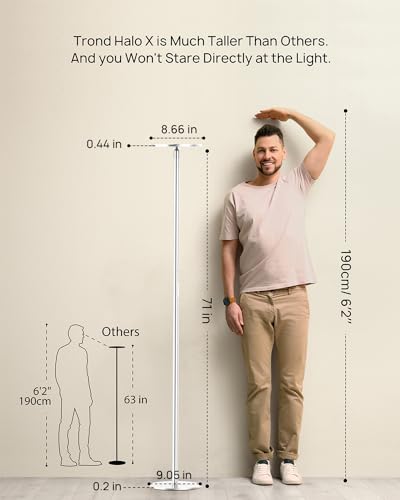 Floor Lamp 5000LM Super Bright Sky LED Modern Torchiere Standing Lamp (Warm light Silver)