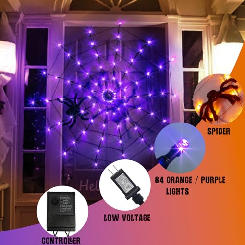 Halloween Decorations (purple/orange lights)