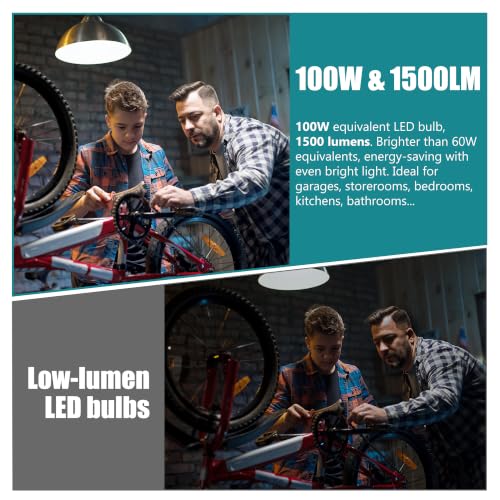 A19 LED Light Bulbs (5000k Daylight)