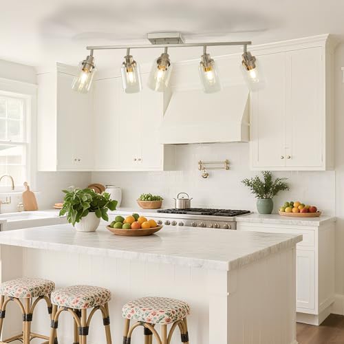 5 Light Brushed Nickel Track Lighting Kit with Clear Glass (Brushed Nickel / 5-Light)