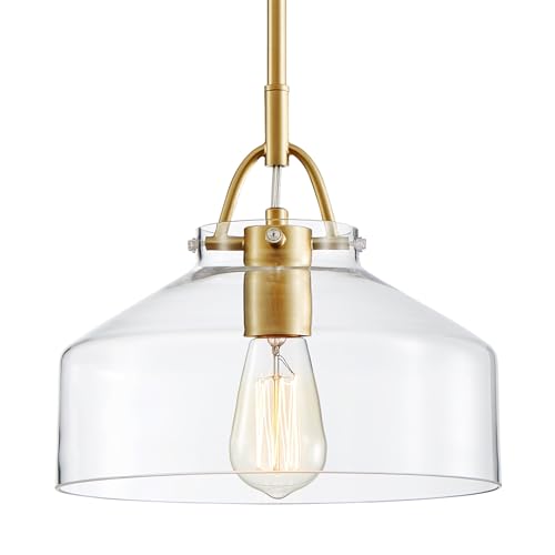 Pendant Chandelier Light with Glass Shade