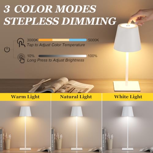 White Gold Cordless Rechargeable Table Lamp 5000mAh Battery Operated Lamps (White)
