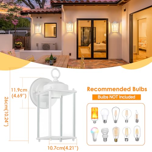 Large Outdoor Wall Lantern (White / 10.24 inch)