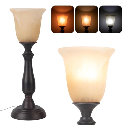Farmhouse Table Lamp for Living Room (Dark Brown)