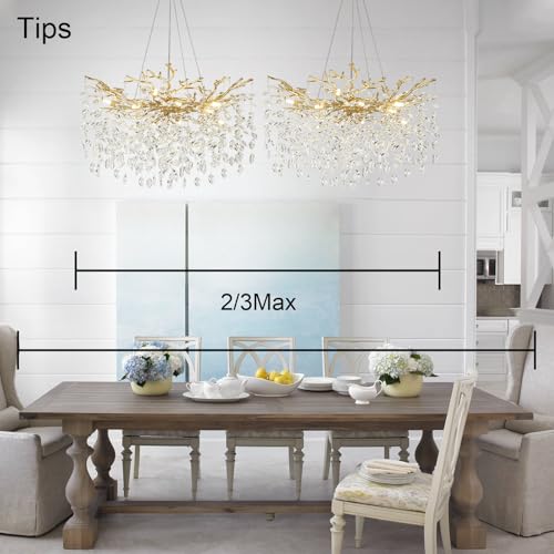 Modern Crystal Chandeliers for Dining Room (Gold / A-D24 Inch)