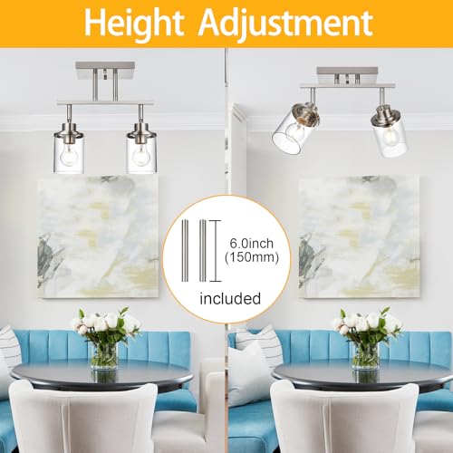2 Light Track Lighting Kit Brushed Nickel Track Lighting Fixtures (Brushed Nickel / 2 Light)