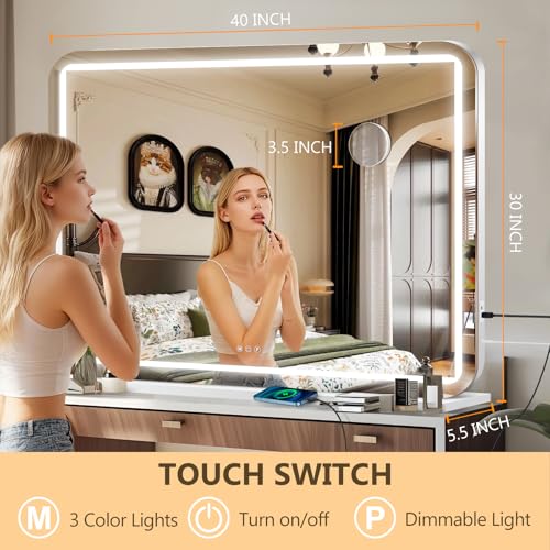 40" x 30" Vanity Mirror with Lights (White / 40"L x 30"W)