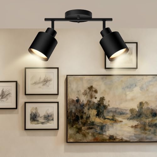 2 Light Led Track Lighting (2 light Black)