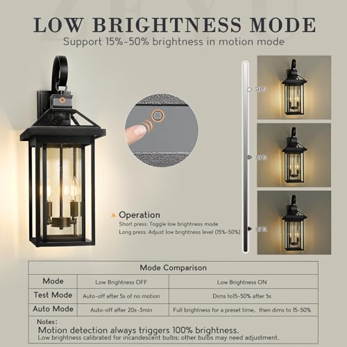 22.6'' Motion Sensor Exterior Wall Light (Black - Seeded Glass / 22.6 Inch - Motion Sensor)