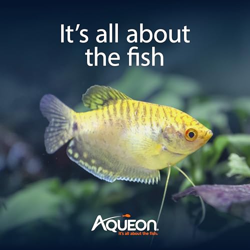 Aquarium Starter Kit with Smart Clean Filtration and LED Lighting (Black / 20 Gallon)
