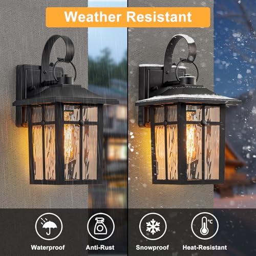 2 Pack Dusk to Dawn Outdoor Wall Lights (Black / 12.75 inch)