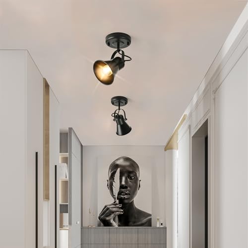 Industrial Mini Track Lighting Ceiling Light (1-Light (2 Pack) / Black)