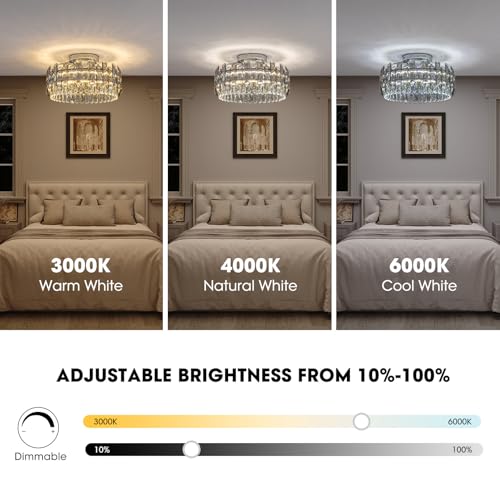 Flush Mount Ceiling Fan with Light