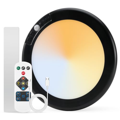 Battery Operated Ceiling Light with Remote
