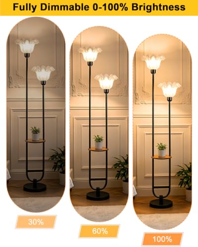 Dimmable Floor Lamp