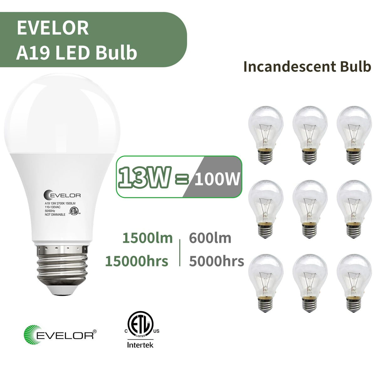 A19 LED Light Bulbs (Soft White 2700k / 24 Pcs)