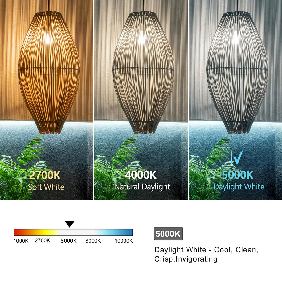 6 PCS ST58 Dimmable Spiral Vintage E26 LED Bulb 60 Watt LED Edison Bulbs (5000k 6pack)