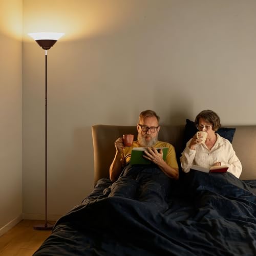 Floor Lamps for Living Room (Brown)