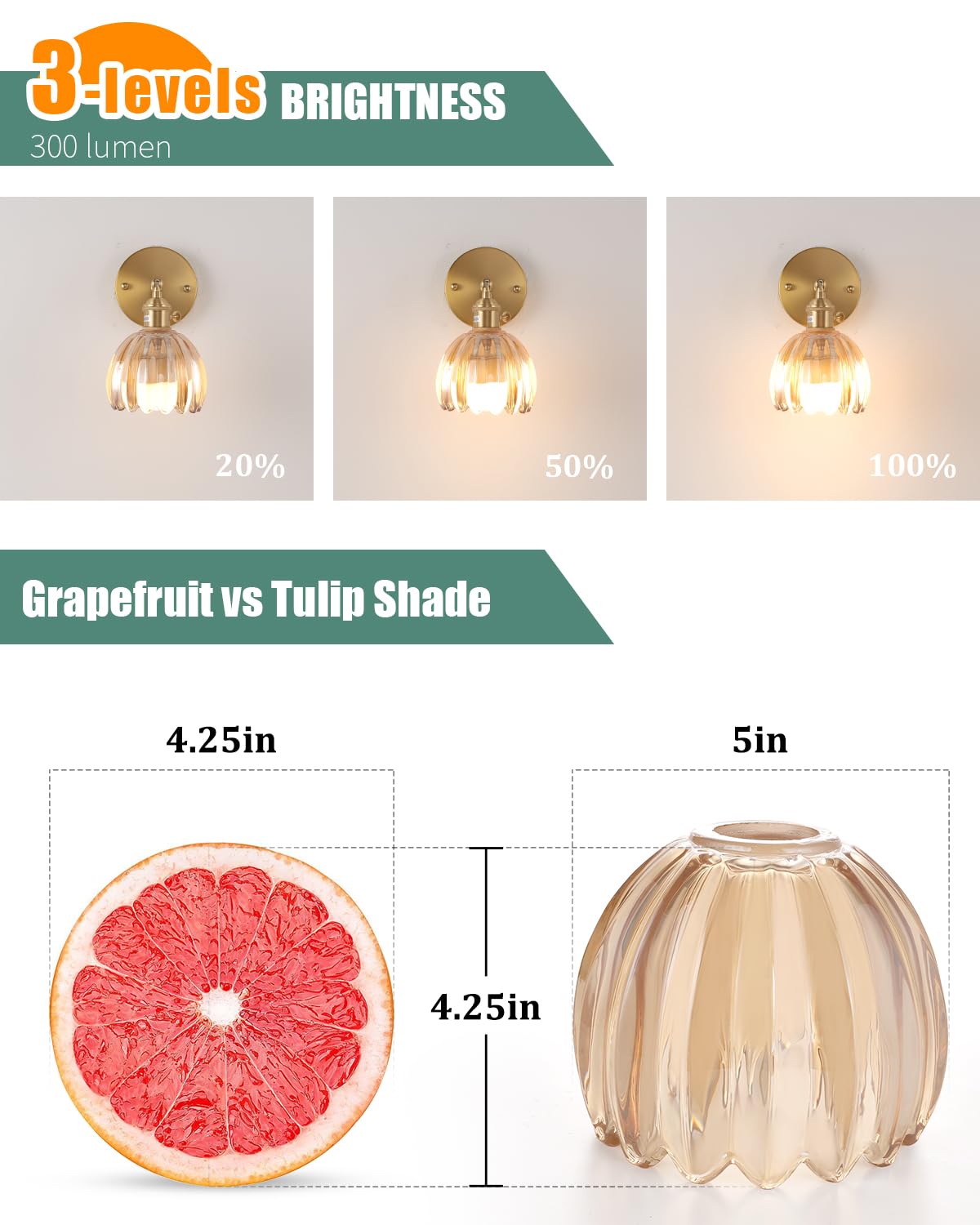 Tulip Lamp Shades Replacement (Amber)