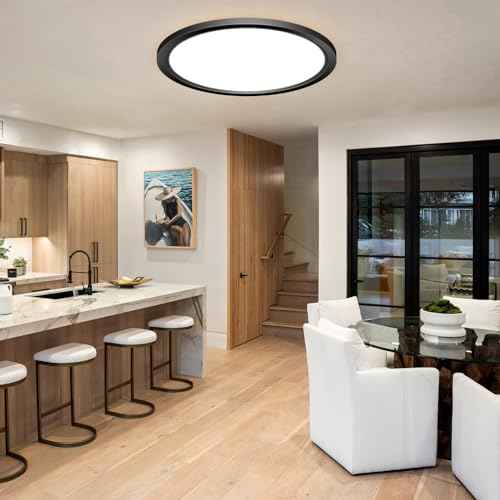 2PACK LED Flush Mount Ceiling Light Fixture (Black / 12Inch-2Pack)