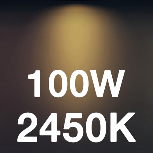 ST19 60W Led Bulbs