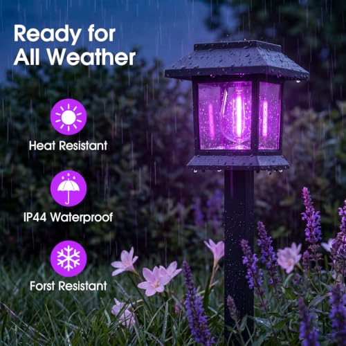 Solar Lights Outdoor (Purple Light)