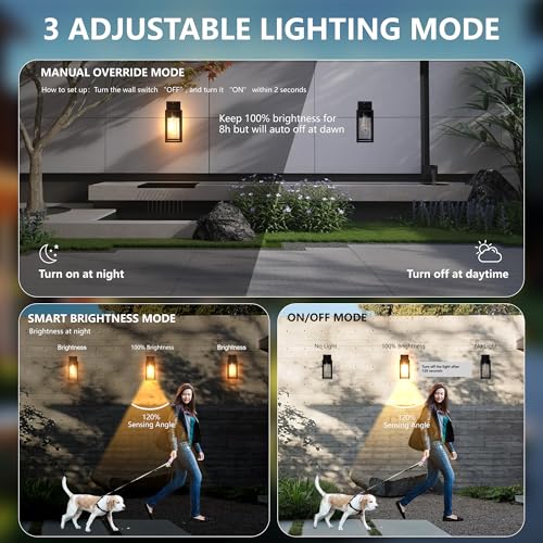 Motion Sensor Dawn to Dusk Outdoor Sensor Light Fixture Waterproof Porch Lights Anti (13 Inch)