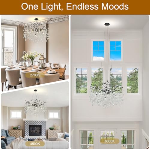 Modern Farmhouse Chandeliers for Dining Room (Black / A-D24 Inch)