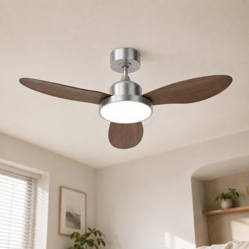Ceiling Fan with Light