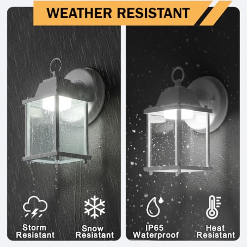 Outdoor Wall Light Fixture (5000K White / 1-pack)