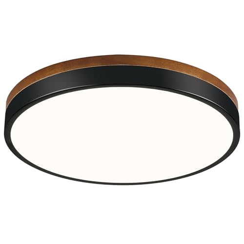 Round LED Flush Mount Ceiling Light