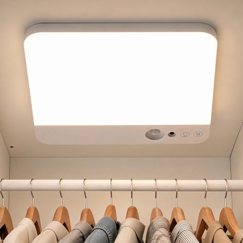 Battery Operated Ceiling Light with Remote