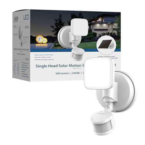 LED Outdoor Security Floodlight (White / 500 Lumens / Modern)