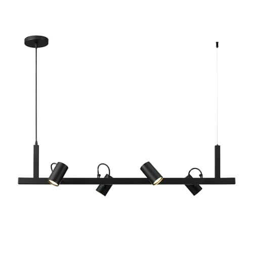 Suspended Track Lighting (Matte Black, Asimov)